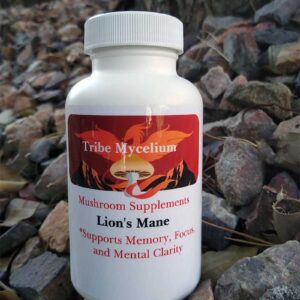 TRIBE MYCELIUM Lion's Mane Capsules - 60 Count